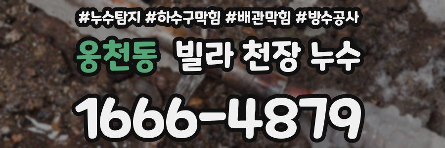 웅천동 빌라 천장 누수