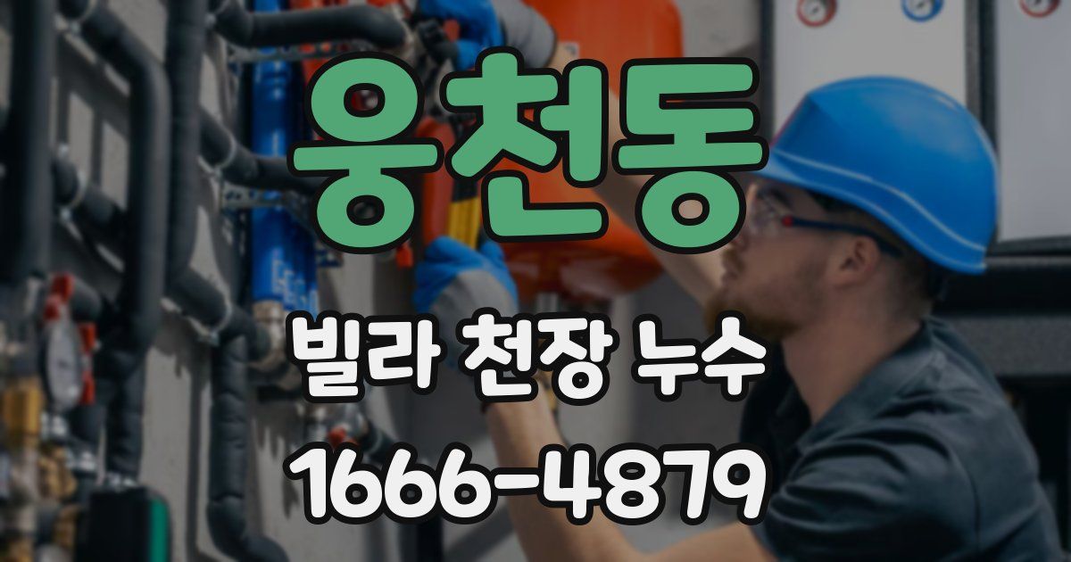 웅천동 빌라 천장 누수