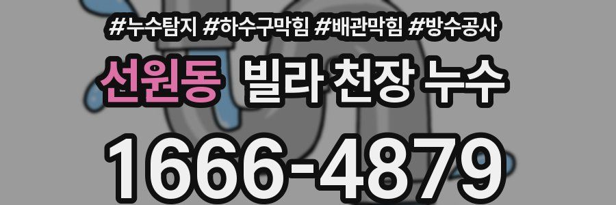 선원동 빌라 천장 누수