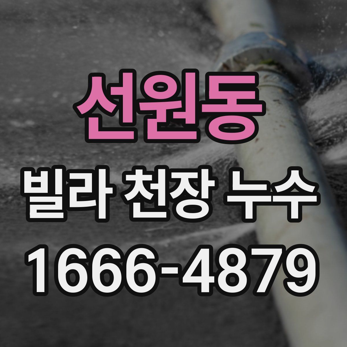 선원동 빌라 천장 누수