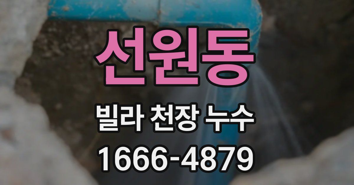 선원동 빌라 천장 누수