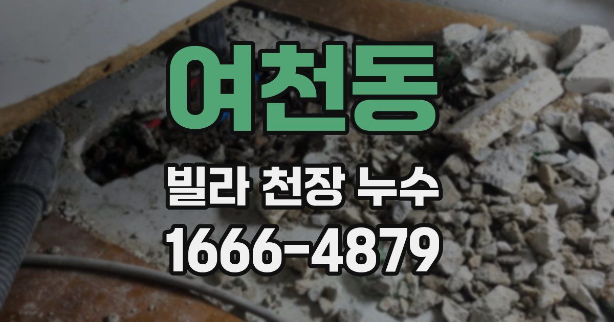 여천동 빌라 천장 누수