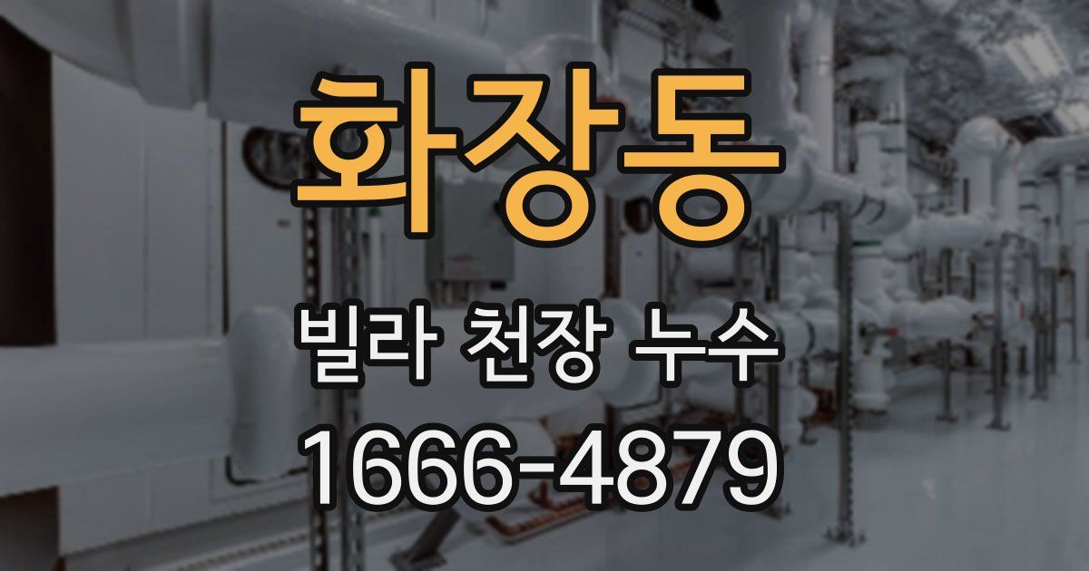 화장동 빌라 천장 누수