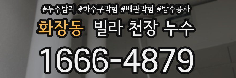 화장동 빌라 천장 누수