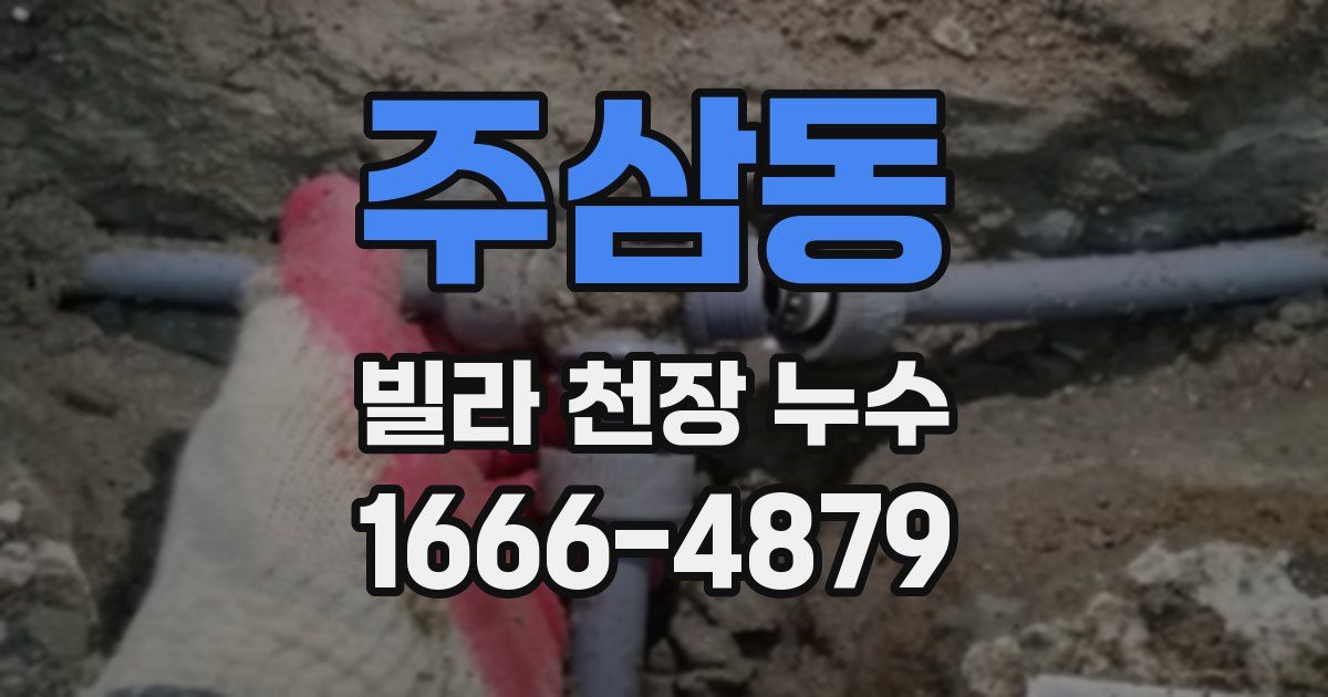 주삼동 빌라 천장 누수