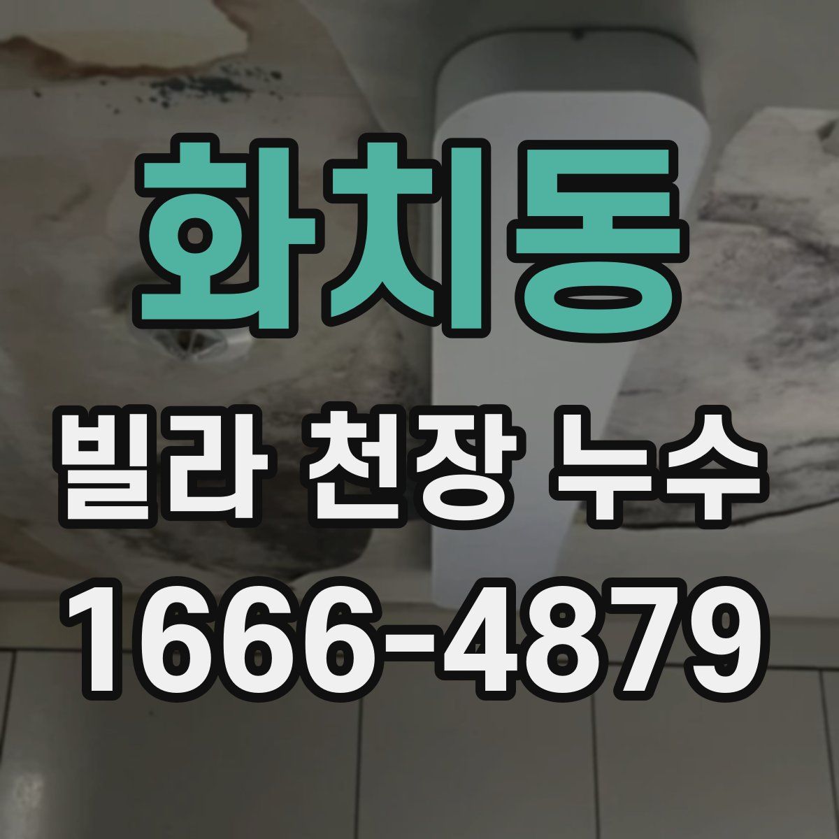 화치동 빌라 천장 누수