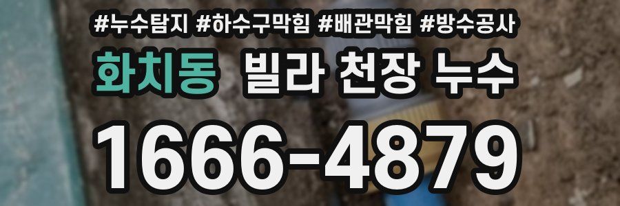 화치동 빌라 천장 누수