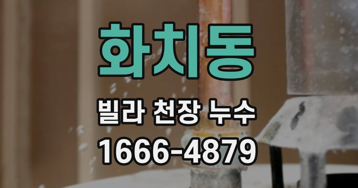 화치동 빌라 천장 누수