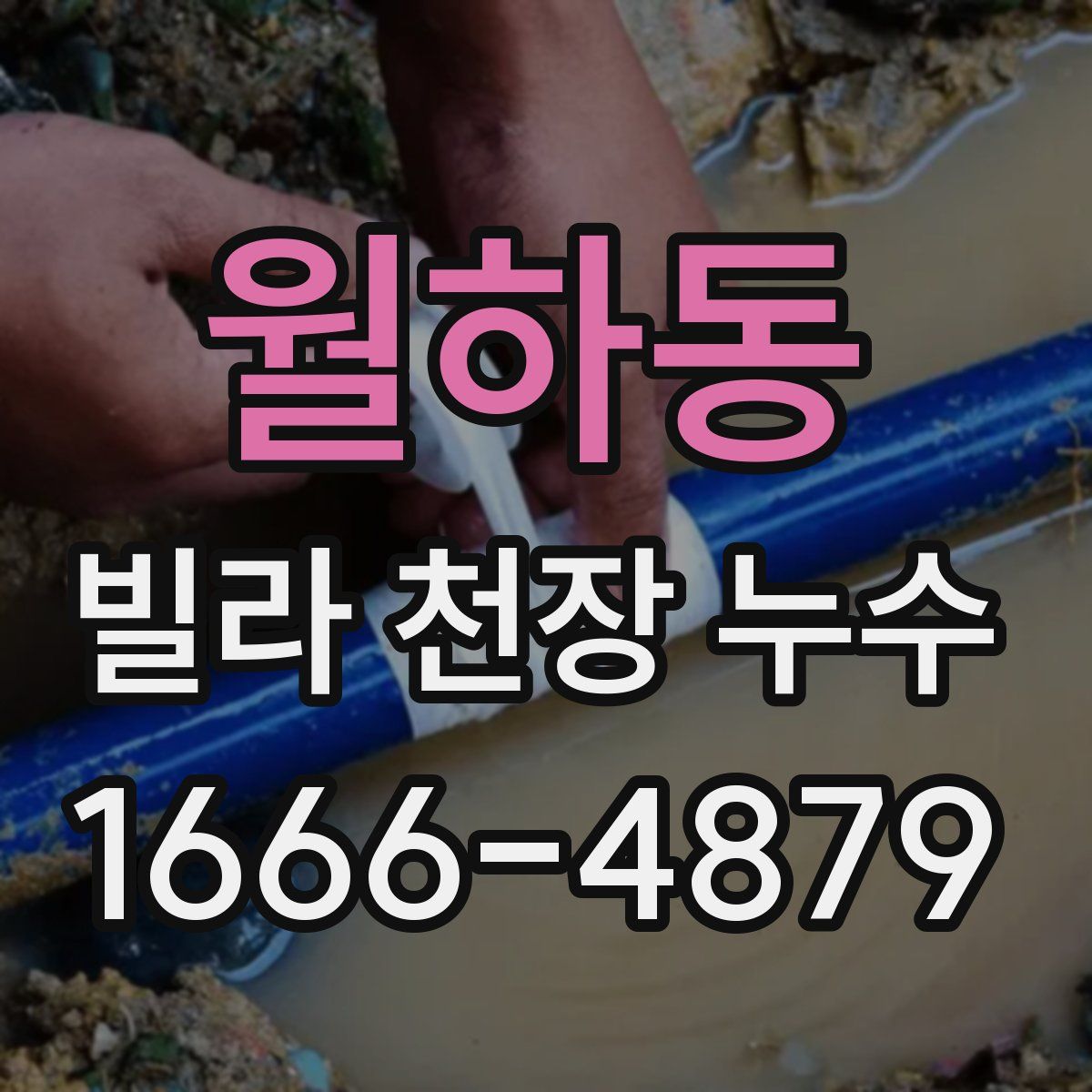 월하동 빌라 천장 누수