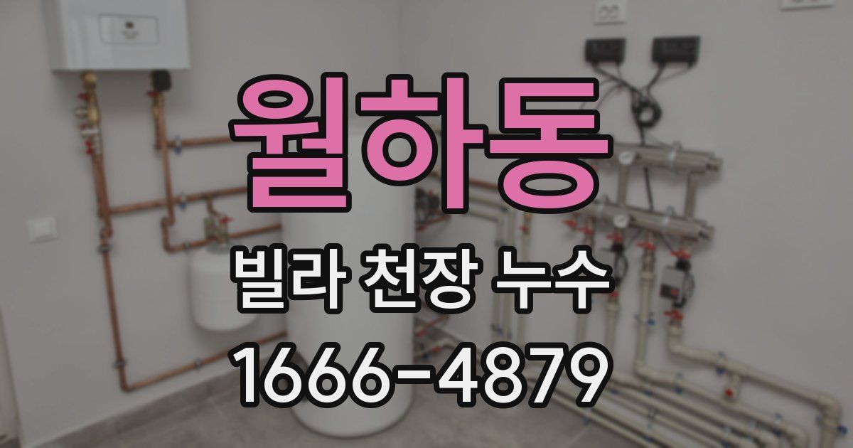 월하동 빌라 천장 누수