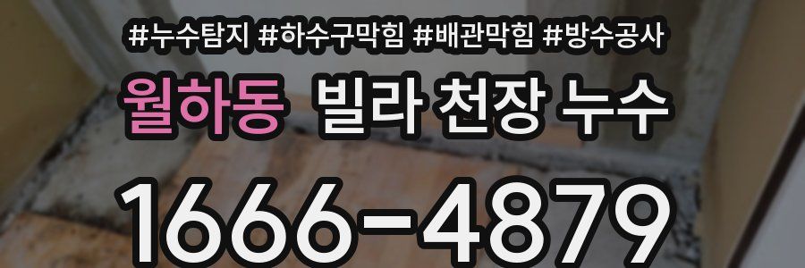 월하동 빌라 천장 누수