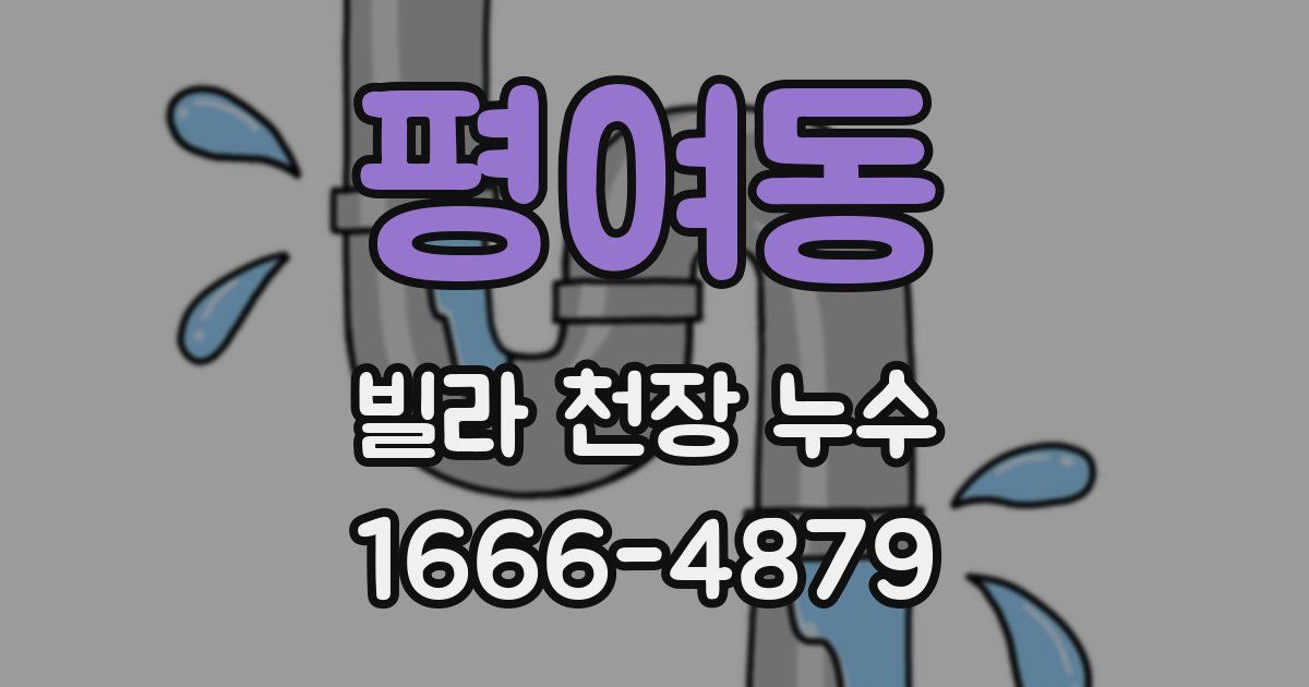 평여동 빌라 천장 누수