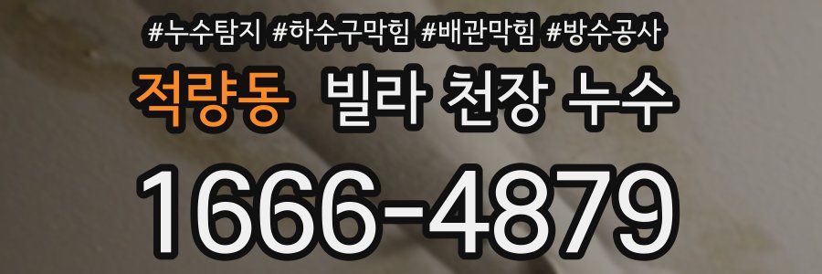 적량동 빌라 천장 누수
