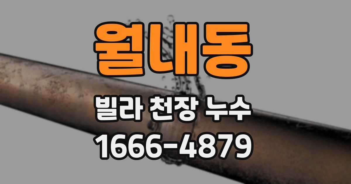 월내동 빌라 천장 누수