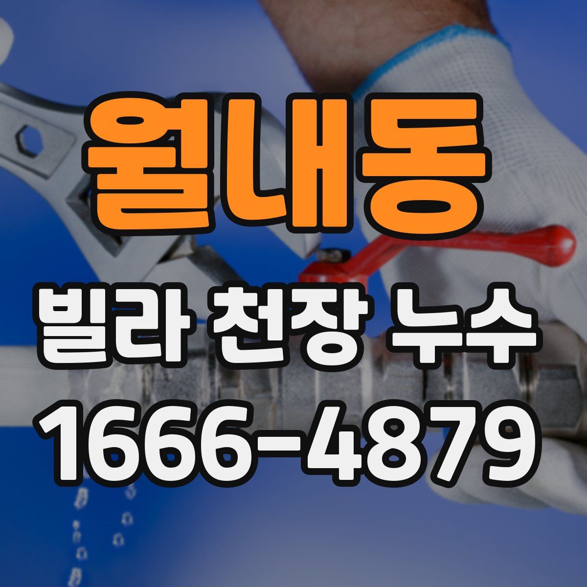 월내동 빌라 천장 누수