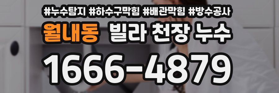 월내동 빌라 천장 누수