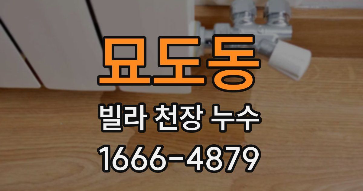 묘도동 빌라 천장 누수