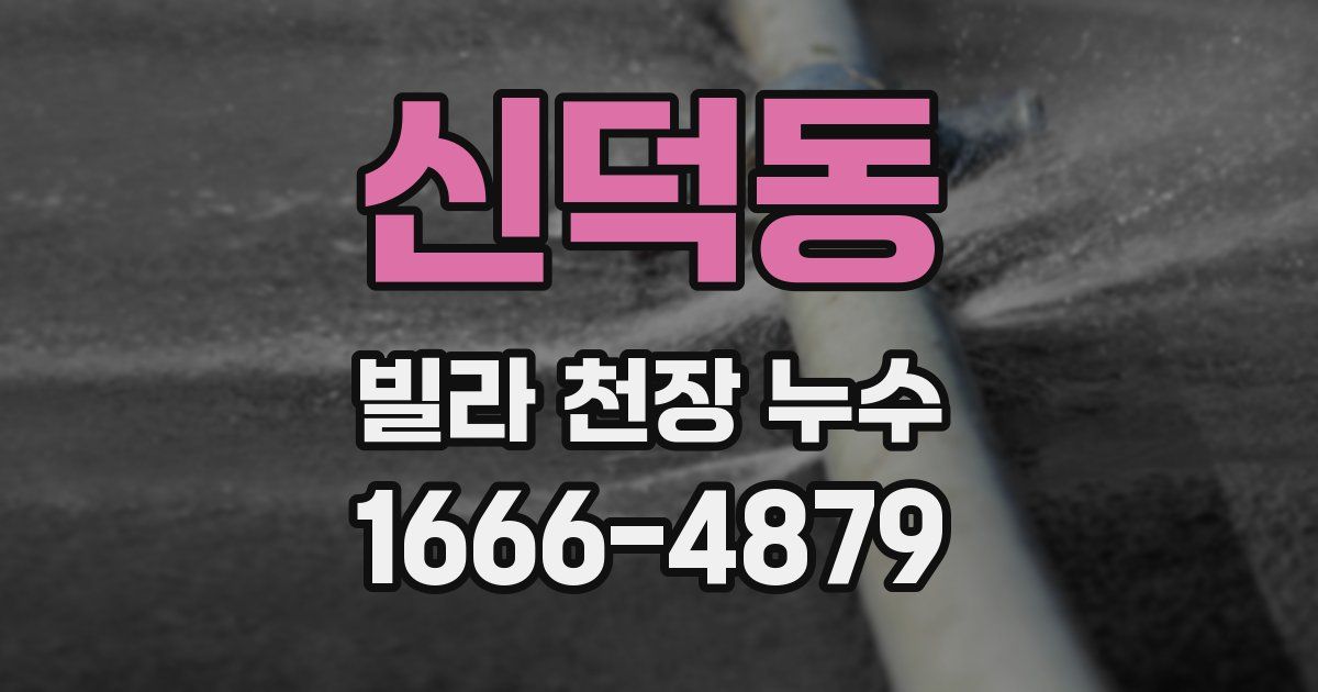 신덕동 빌라 천장 누수
