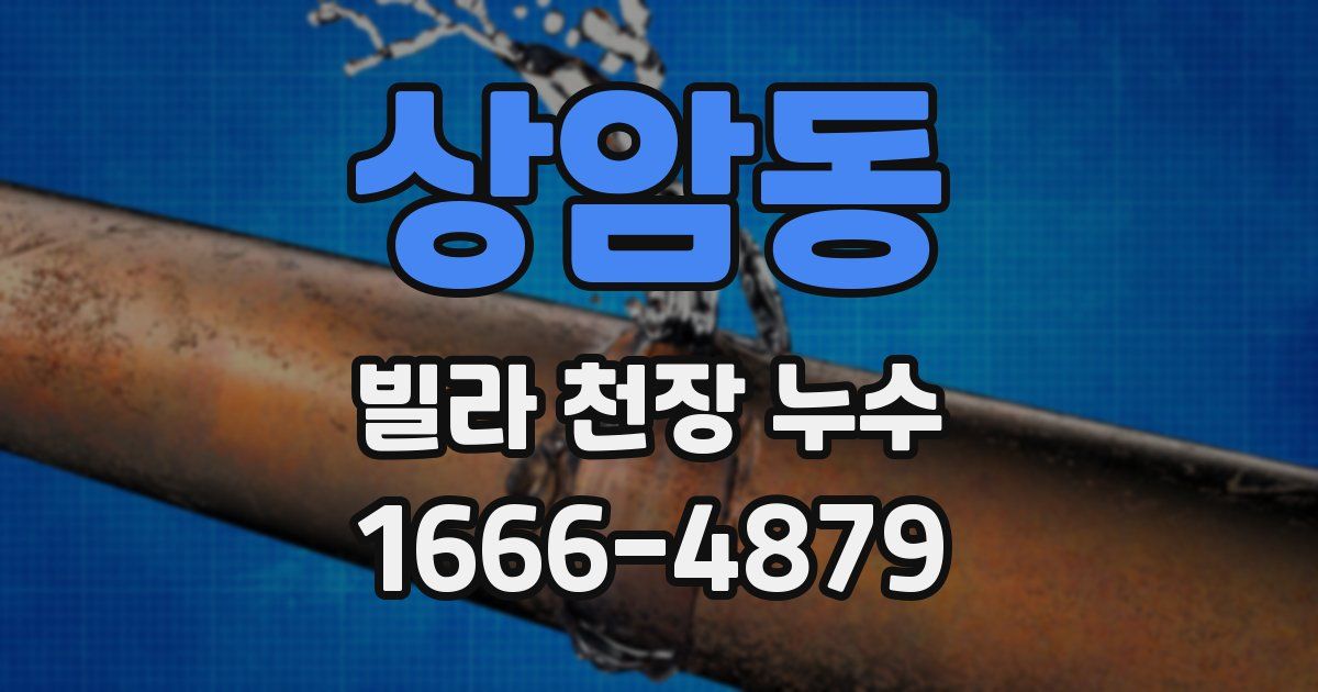 상암동 빌라 천장 누수
