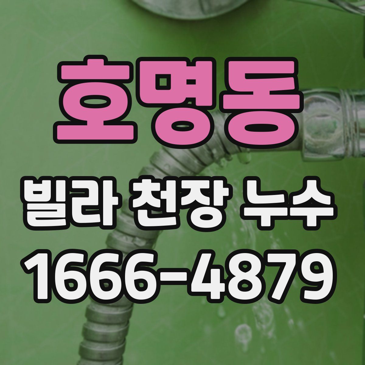호명동 빌라 천장 누수