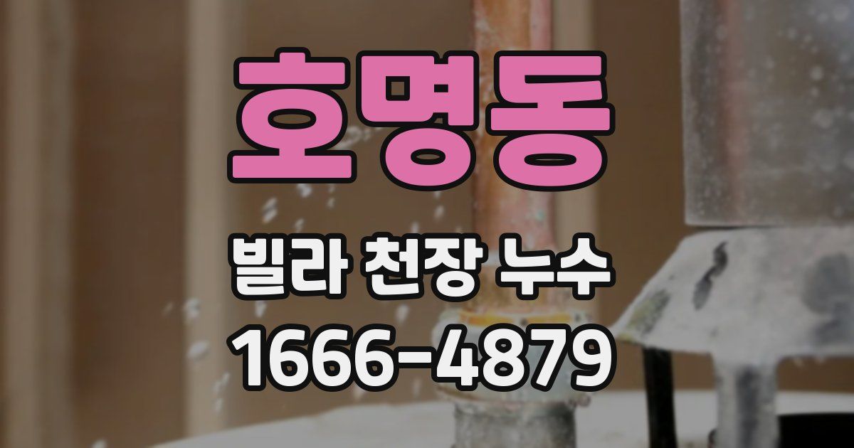 호명동 빌라 천장 누수