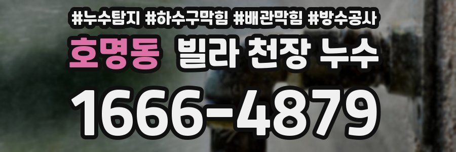 호명동 빌라 천장 누수
