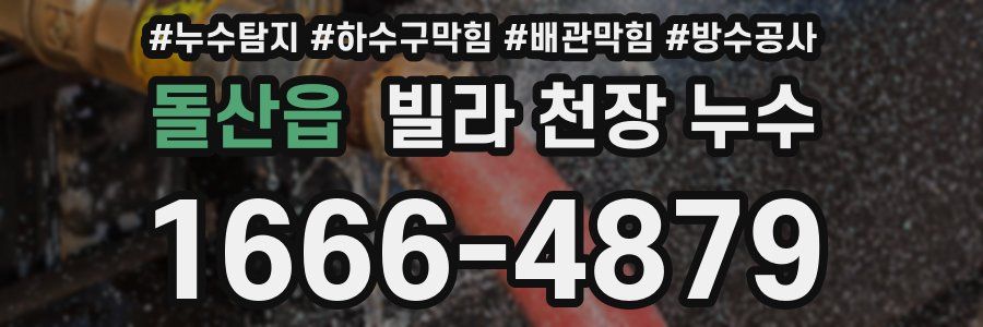 돌산읍 빌라 천장 누수