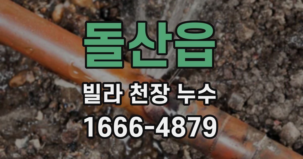 돌산읍 빌라 천장 누수
