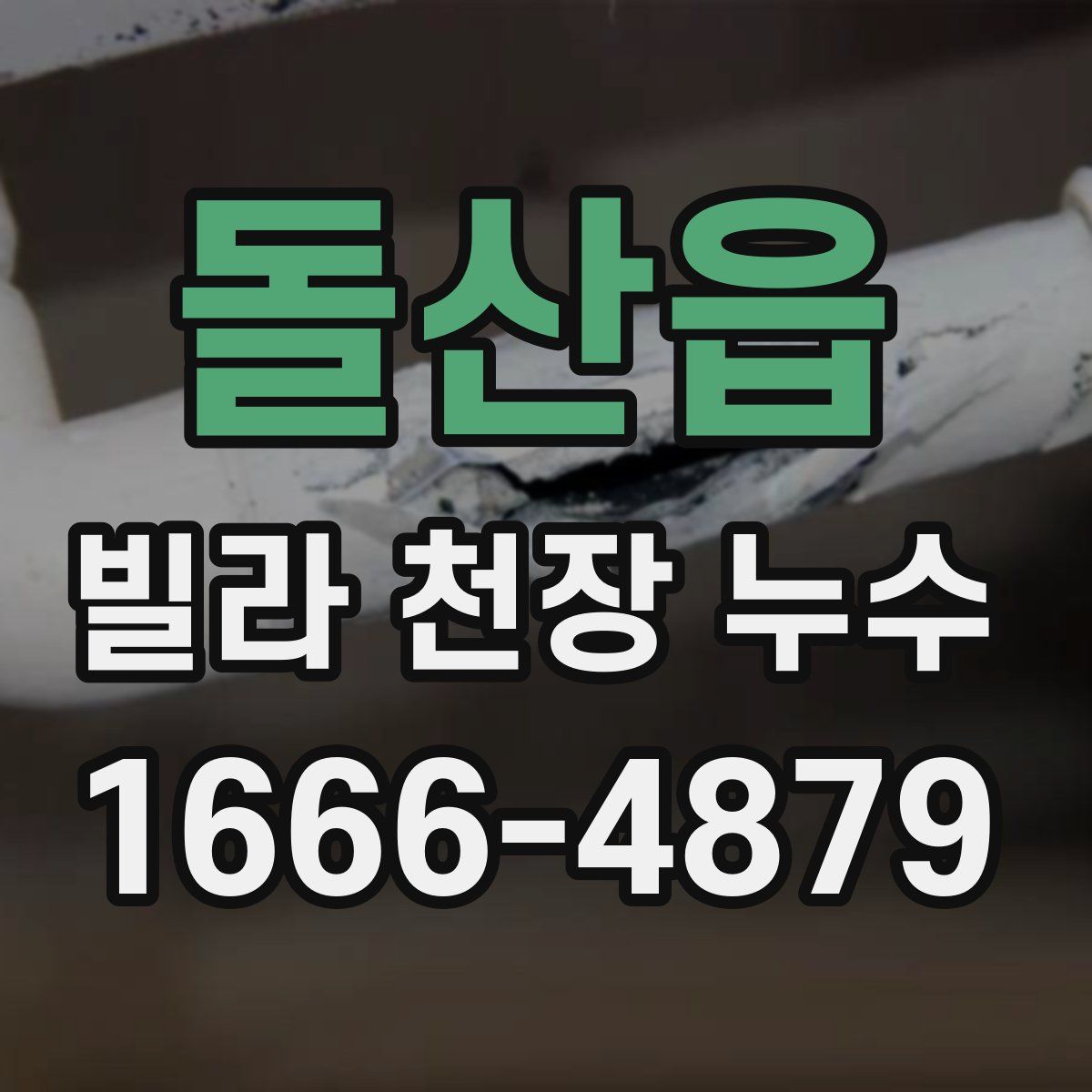 돌산읍 빌라 천장 누수