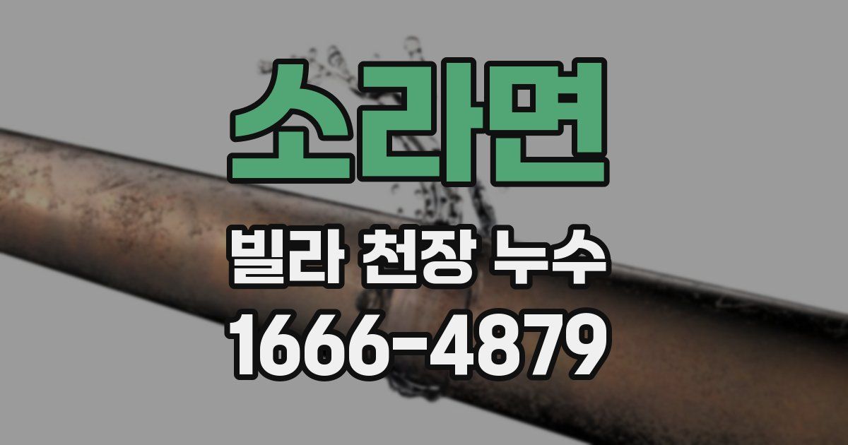 소라면 빌라 천장 누수