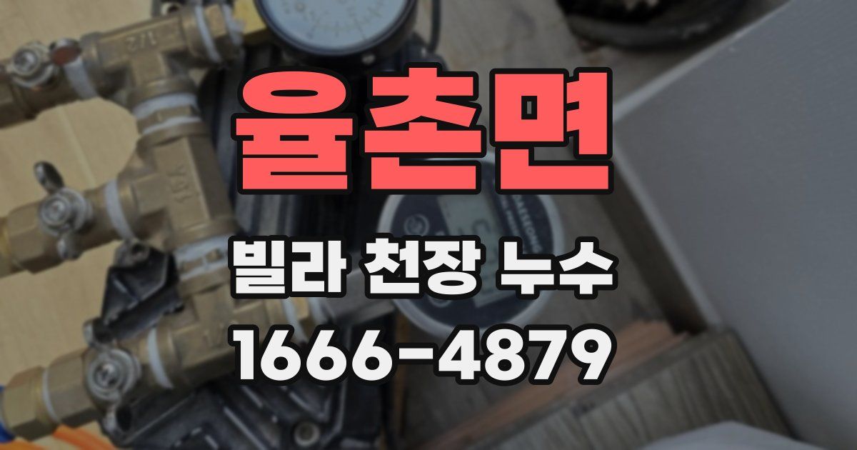 율촌면 빌라 천장 누수