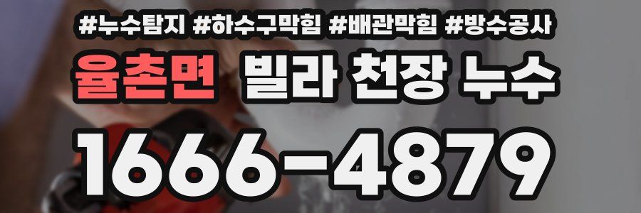 율촌면 빌라 천장 누수
