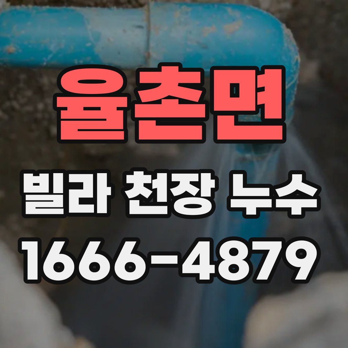 율촌면 빌라 천장 누수