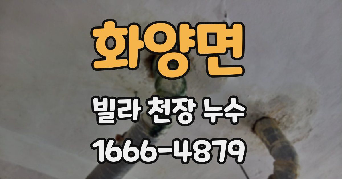 화양면 빌라 천장 누수