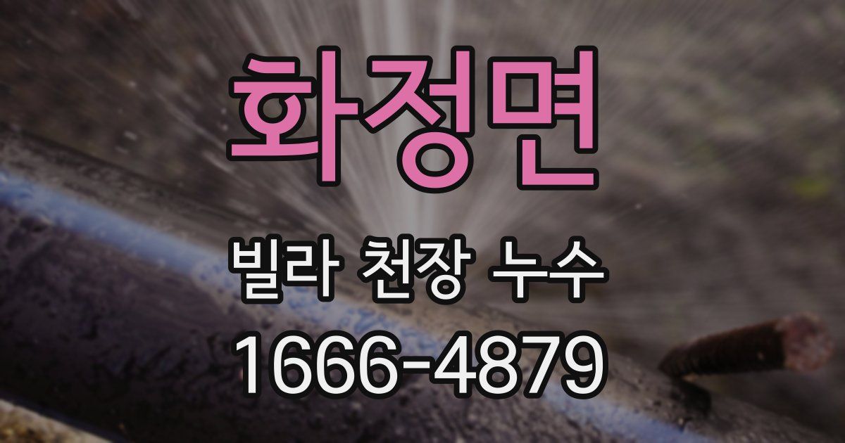 화정면 빌라 천장 누수