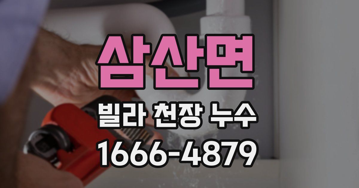 삼산면 빌라 천장 누수