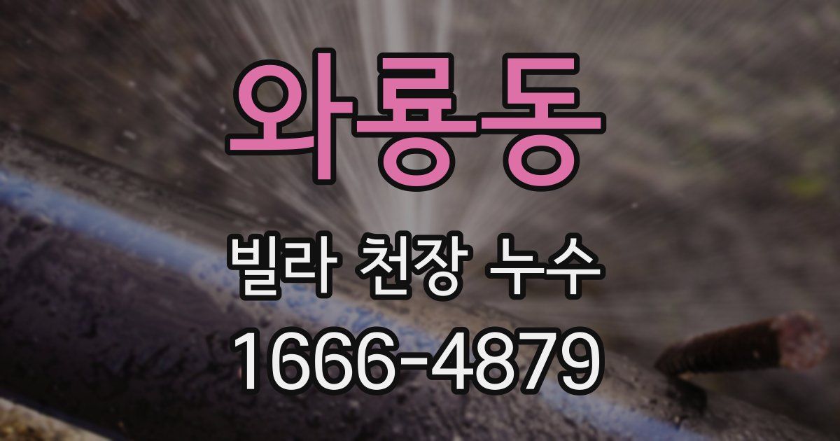 와룡동 빌라 천장 누수