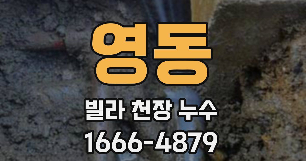 영동 빌라 천장 누수