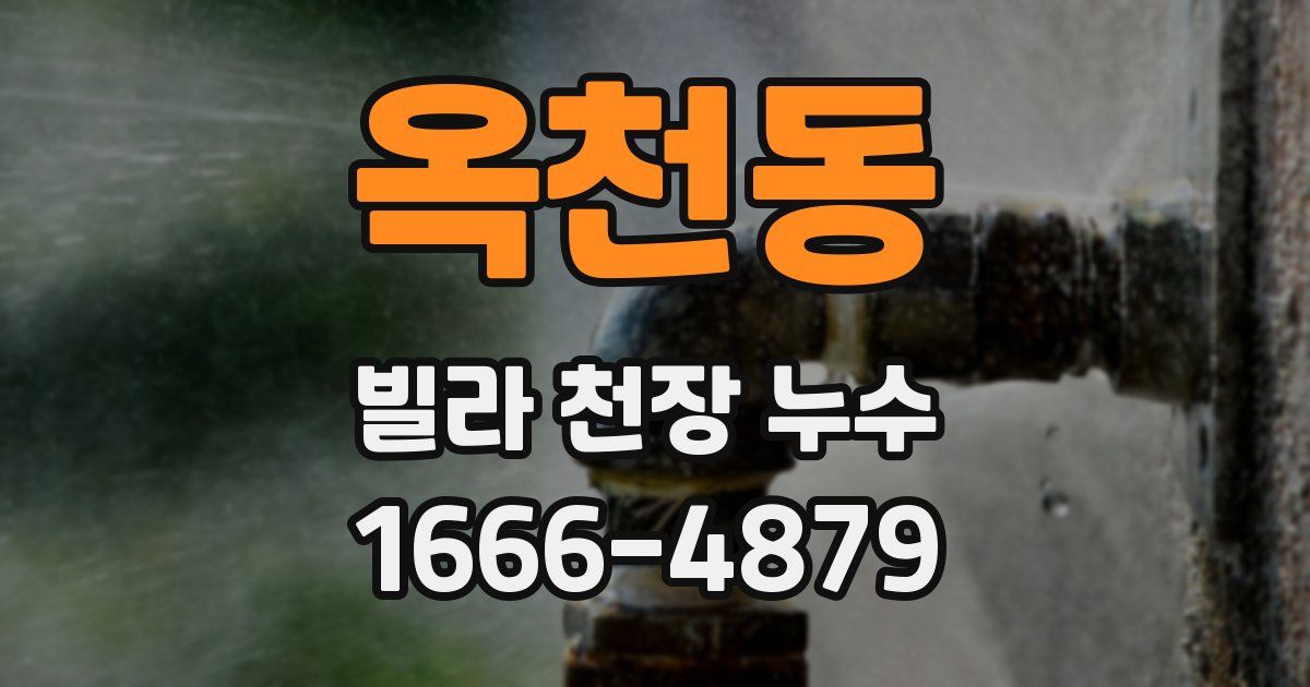 옥천동 빌라 천장 누수