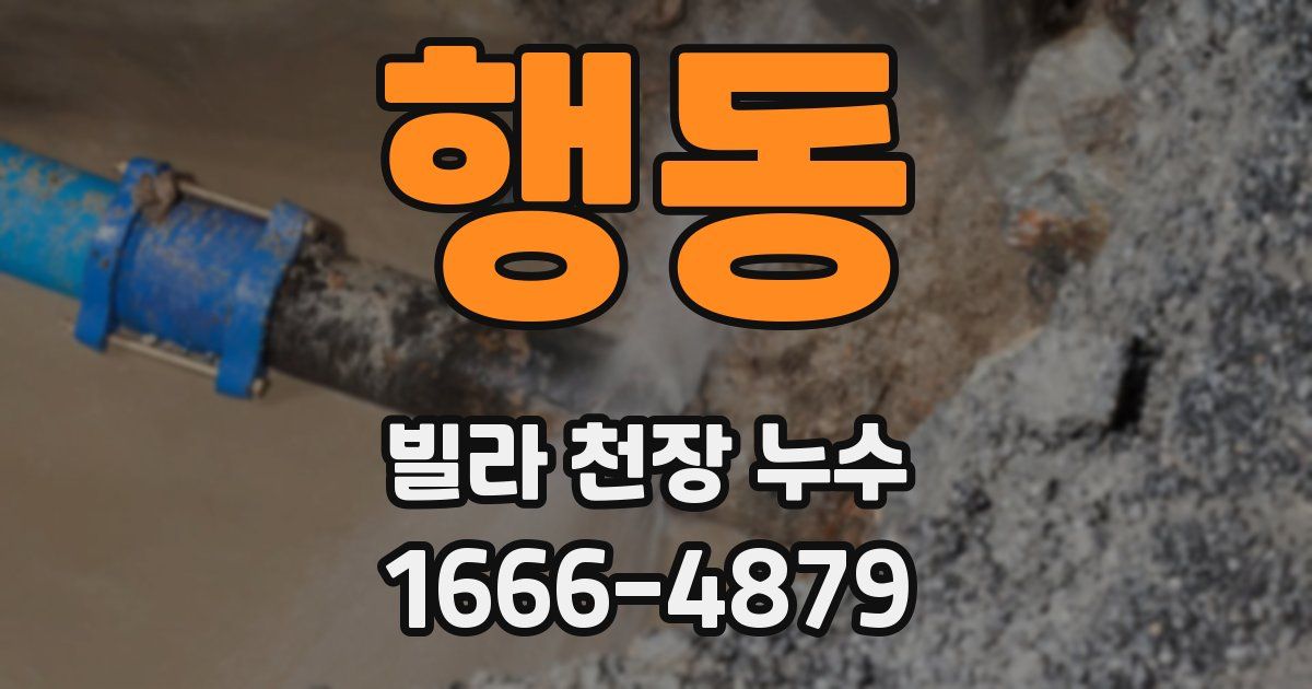 행동 빌라 천장 누수