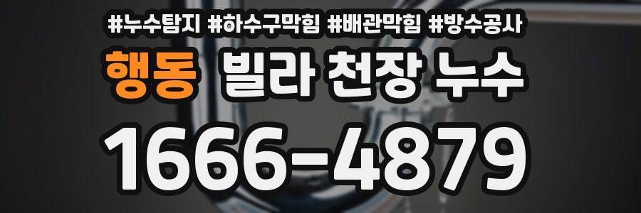 행동 빌라 천장 누수
