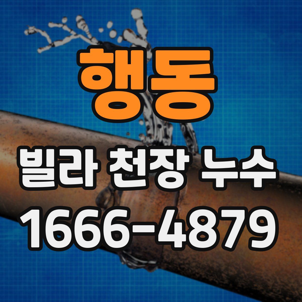 행동 빌라 천장 누수