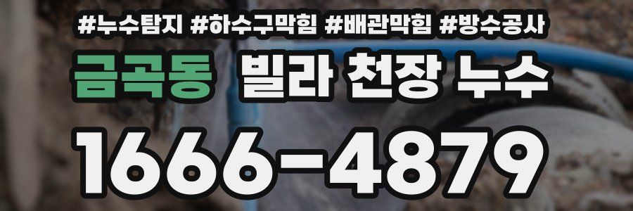금곡동 빌라 천장 누수