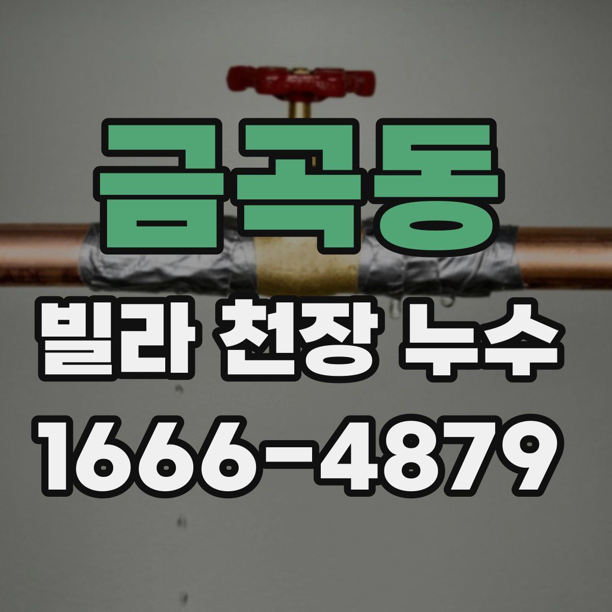 금곡동 빌라 천장 누수
