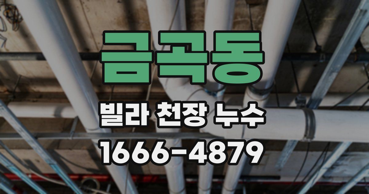 금곡동 빌라 천장 누수