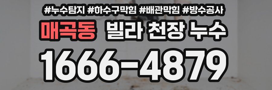 매곡동 빌라 천장 누수