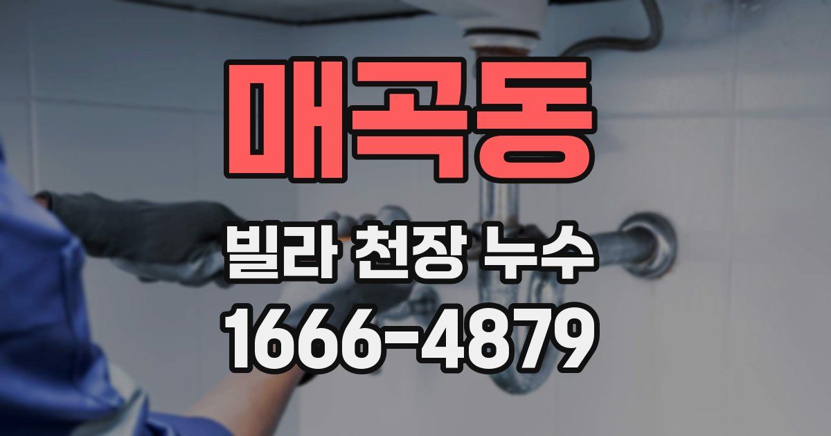 매곡동 빌라 천장 누수