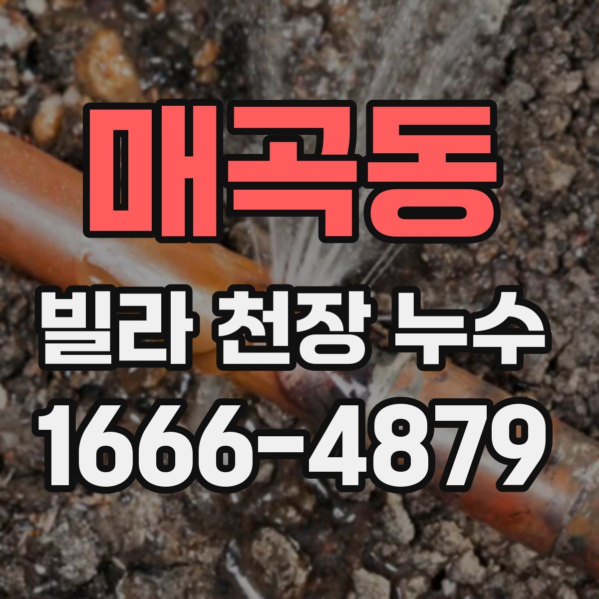 매곡동 빌라 천장 누수