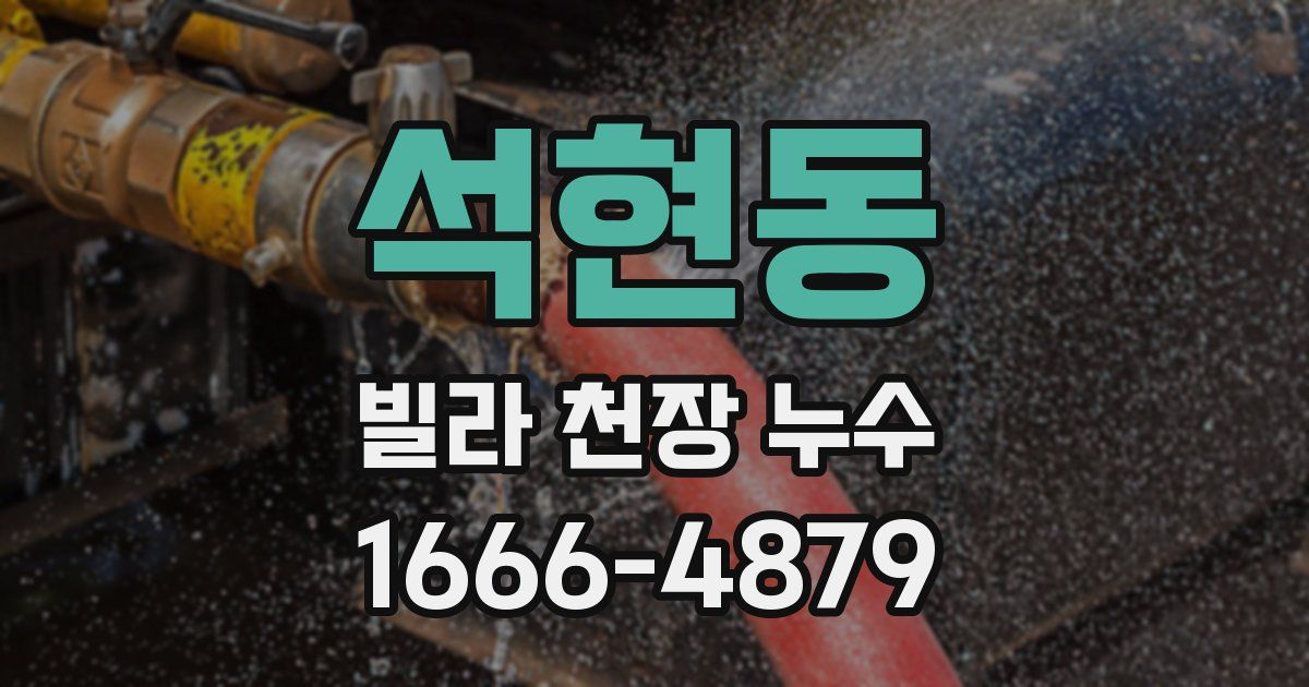 석현동 빌라 천장 누수