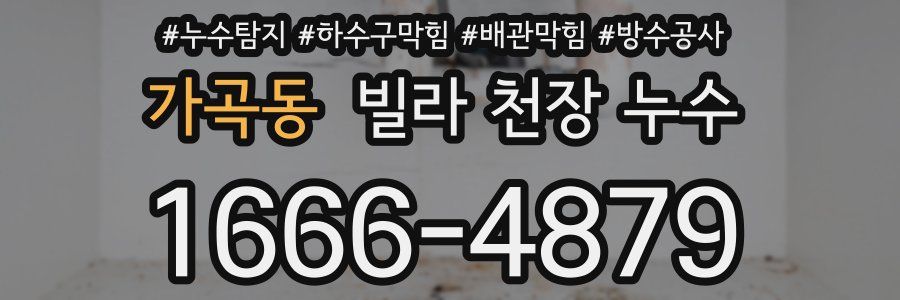 가곡동 빌라 천장 누수